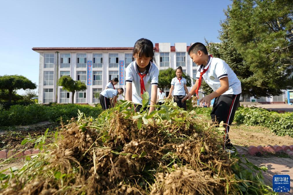 蓝海娱乐游戏合法吗